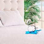 Mattress Encasement Protector