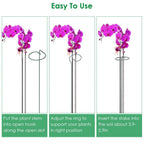 10-Pack: Plant Support Stake