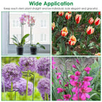 10-Pack: Plant Support Stake
