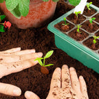 10-Piece: Reusable Seed Starter Tray Kit