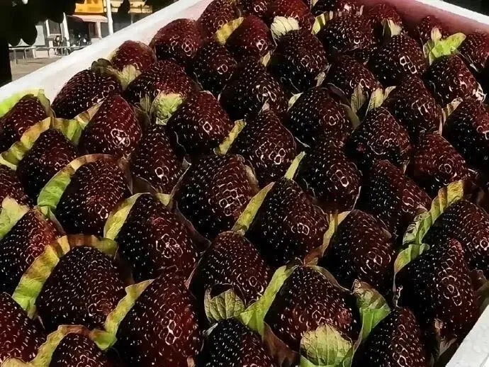 Black Diamond Strawberry Seeds