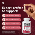 Digestive Enzyme Complex with Prebiotics & Probiotics – Daily Mealtime Comfort Support