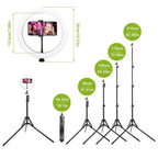 10in 120 LEDs Selfie Ring Light