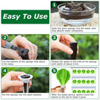 120-Piece: Seed Pod Kit