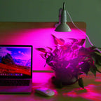 12W LED 360° Rotatable Plant Grow Light with Desk Clip