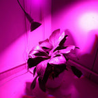 12W LED 360° Rotatable Plant Grow Light with Desk Clip