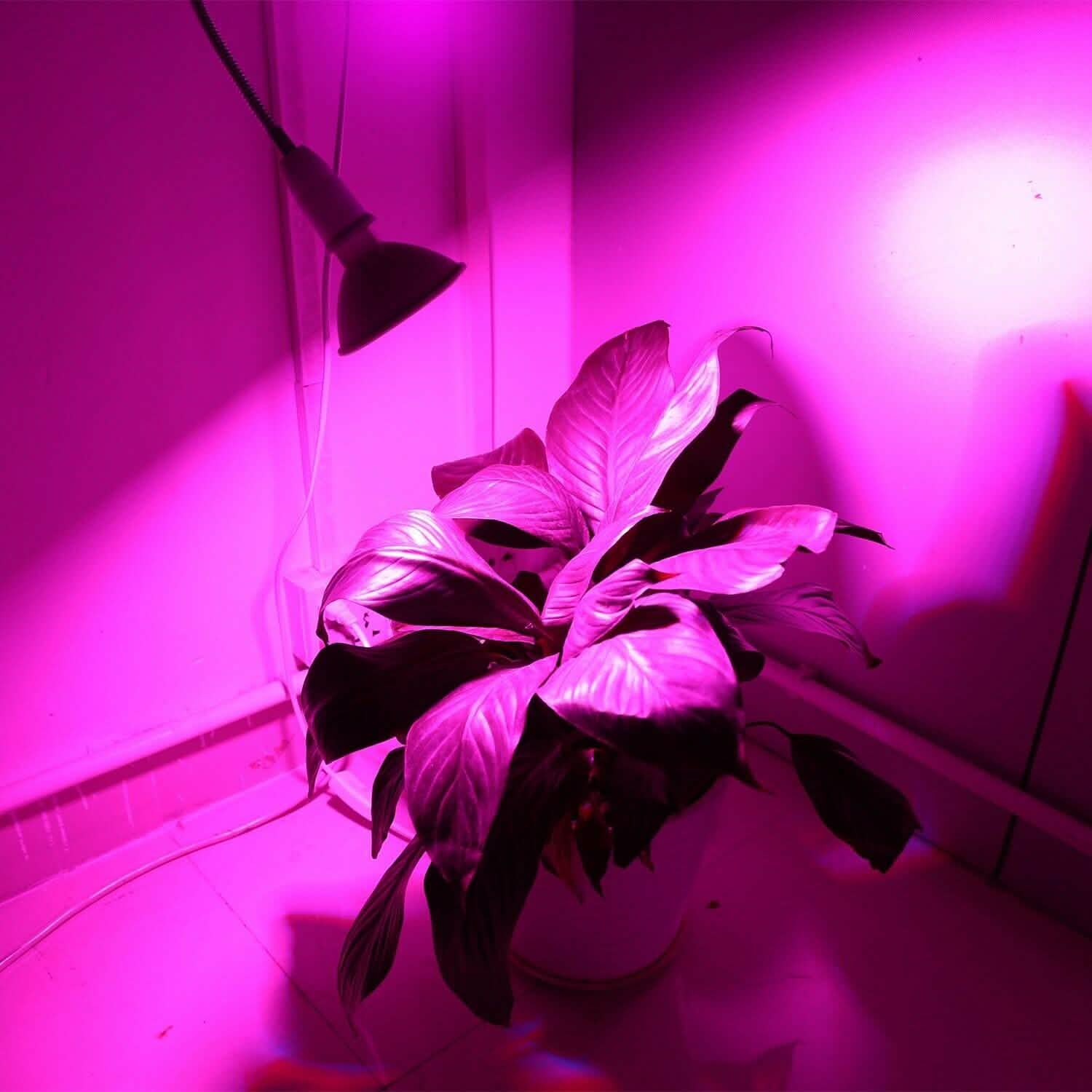 12W LED 360° Rotatable Plant Grow Light with Desk Clip