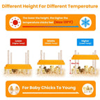 15W Chicken Brooder Heater with Adjustable  Height Angle Max 131℉