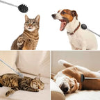 Retractable Cactus Back Scratcher – Long Handle, Durable PVC