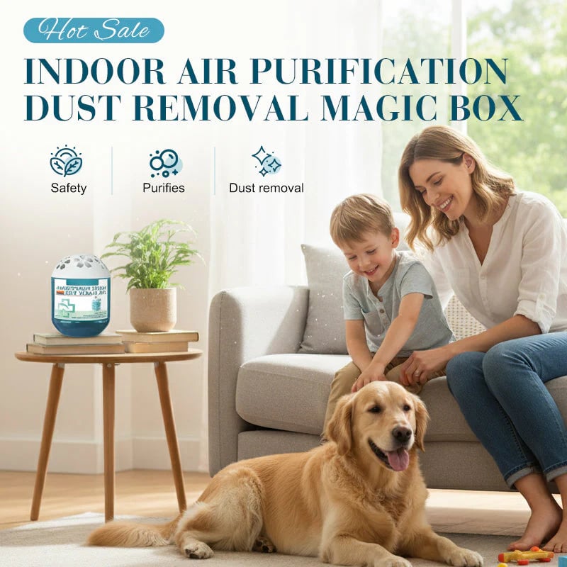 2026 New & Upgraded -- Indoor Air Purification Dust Removal Magic Box