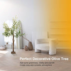 180-Pieces LED Beads Lighted Olive Tree with Warm Light with Remote 8 Lighting Modes 10 Adjustable Brightness