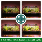 2-Pack: 40 Cell Seed Starting Tray Plant Grow Light with 4 Adjustable Brightness