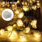 2-Pack: 40 LEDs Rose Flower String Lights