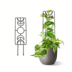 2-Pack: Metal Plant Trellis for Climbing Plants Indoor