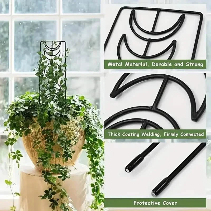 2-Pack: Metal Plant Trellis for Climbing Plants Indoor