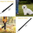 2-Pack: Multipurpose Pet Safety Vehicle Seat Belt
