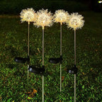 2-Pack: Outdoor Solar Dandelion Lawn Lights