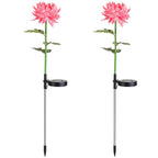 2-Pack: Solar LED Chrysanthemum Lights