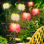 2-Pack: Solar LED Chrysanthemum Lights