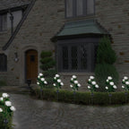 2-Pack: Solar Powered Rose Flower LED Decorative Lamp
