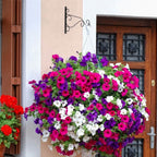 2-Piece: Iron Plant Hanging Bracket Plant Hanger Wall Hooks