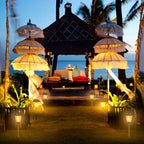 2-Piece: Solar Flame Torch Light