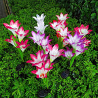 2-Pieces: Solar Garden Lights Outdoor