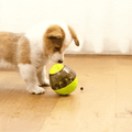 Interactive Pet Toy