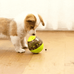 Interactive Pet Toy