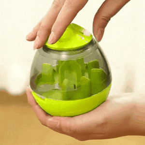 Interactive Pet Toy