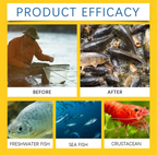 Concentrated Fish Attractant Liquid – Fast-Acting Red Worm Bait Additive for Freshwater Fishing, Enhances Scent & Improves Bite Response (100ml)