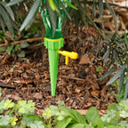 24-Piece: Plant Watering Spikes Self Watering Device