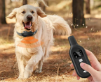 Remote Control Dog Training Collar