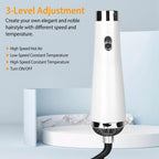 3-in-1 Hot Air Brush One-Step Hair Dryer Comb