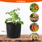3-Pack: Planter Bags Breathable Planting Fabric Pots with Harvest Window