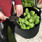 3-Pack: Planter Bags Breathable Planting Fabric Pots with Harvest Window