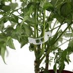 300-Pieces: Garden Plant Support Clips