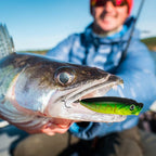 383-Piece: Fishing Lures Tackle Box