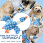 Plush Dog Chew Toy with Squeaker