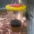 Eco-Friendly Disposable Fly Trap Outdoor Bag