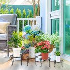 4-Pack: Iron Plotted Plant Stands