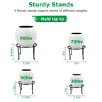 4-Pack: Iron Plotted Plant Stands