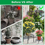 4-Pack: Iron Plotted Plant Stands