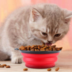 4-Pack: Silicone Collapsible Dog or Cat Food Water Bowl
