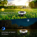 4-Pack: Waterproof Solar Garden Lights