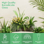 4-Pieces: Clear Glass Plant Watering Globes Iridescent Rainbow Gradient Mushroom
