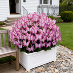 Easy-to-Grow Seeds — Butterfly Blooms for a Living Garden