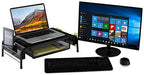 Metal Desk Monitor Stand and Desktop Organizer