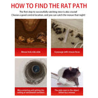 Sliding Door Design Reusable Mouse Trap Cage
