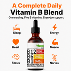 5-in-1 Vitamin B Complex Supplement – Daily Energy & Wellness Support
